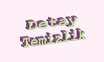 Detay Temizlik