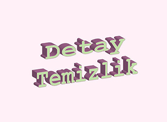 Detay Temizlik