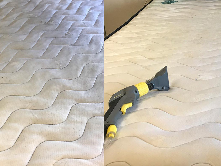 Sera Hijyen Temizlik